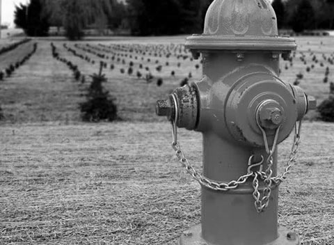 网站攻击软件工具